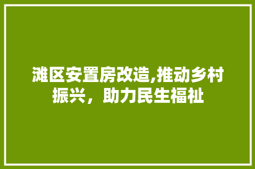 滩区安置房改造,推动乡村振兴，助力民生福祉