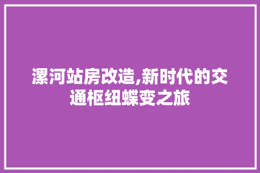 漯河站房改造,新时代的交通枢纽蝶变之旅