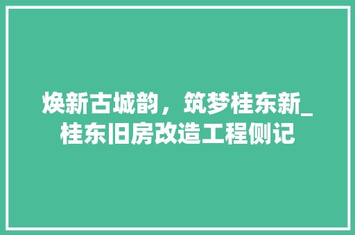 焕新古城韵，筑梦桂东新_桂东旧房改造工程侧记