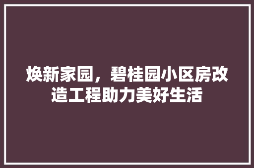 焕新家园，碧桂园小区房改造工程助力美好生活