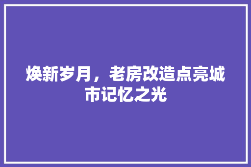 焕新岁月，老房改造点亮城市记忆之光 装修材料