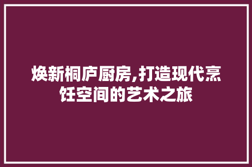 焕新桐庐厨房,打造现代烹饪空间的艺术之旅