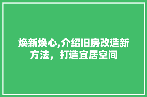 焕新焕心,介绍旧房改造新方法，打造宜居空间