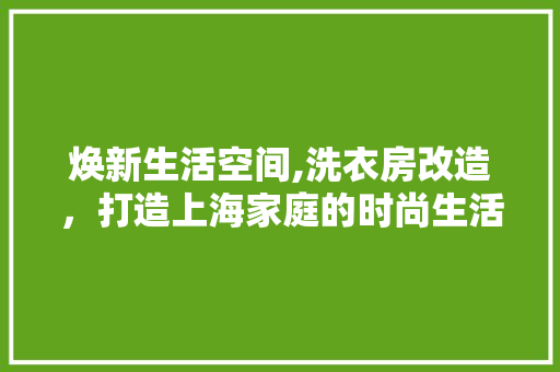 焕新生活空间,洗衣房改造，打造上海家庭的时尚生活新地标