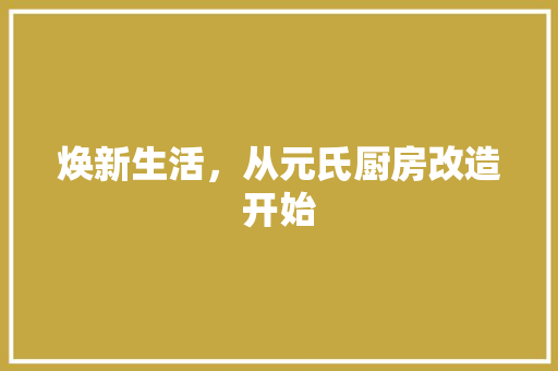 焕新生活，从元氏厨房改造开始