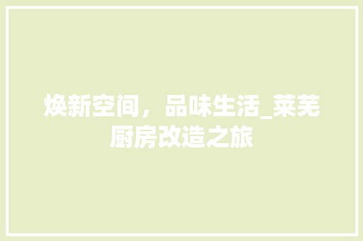 焕新空间，品味生活_莱芜厨房改造之旅