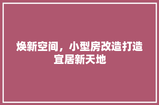焕新空间，小型房改造打造宜居新天地