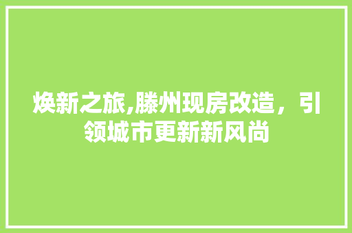 焕新之旅,滕州现房改造，引领城市更新新风尚