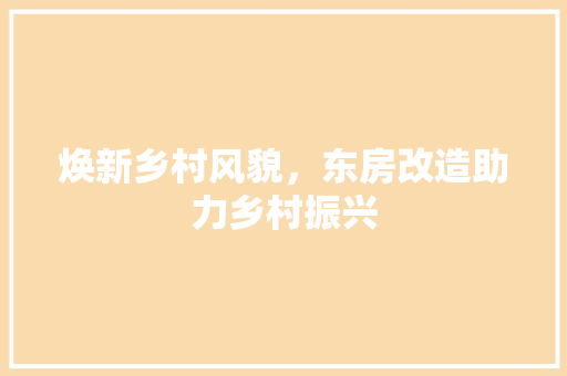 焕新乡村风貌，东房改造助力乡村振兴