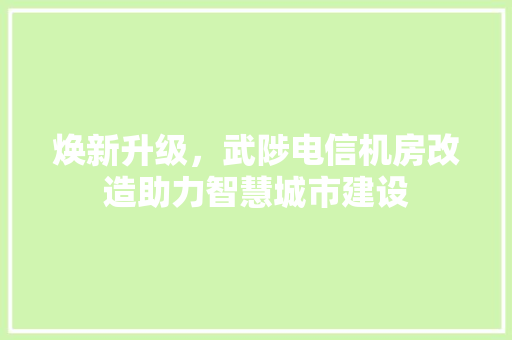 焕新升级，武陟电信机房改造助力智慧城市建设