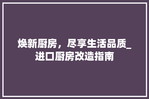 焕新厨房，尽享生活品质_进口厨房改造指南
