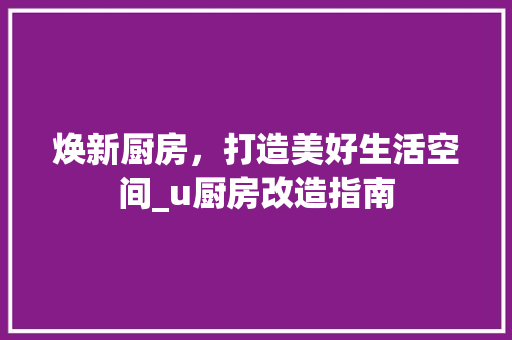 焕新厨房，打造美好生活空间_u厨房改造指南