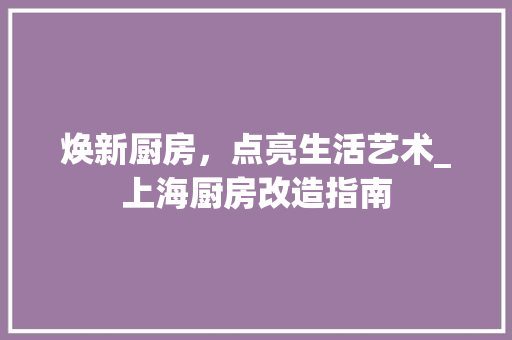 焕新厨房，点亮生活艺术_上海厨房改造指南