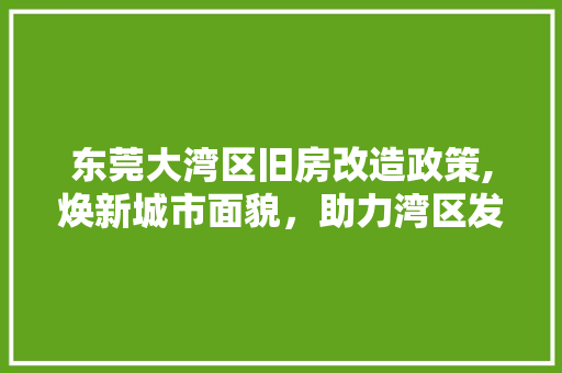 东莞大湾区旧房改造政策,焕新城市面貌，助力湾区发展