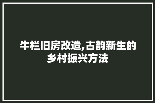牛栏旧房改造,古韵新生的乡村振兴方法