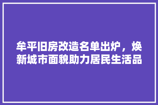 牟平旧房改造名单出炉，焕新城市面貌助力居民生活品质提升 墙面装饰