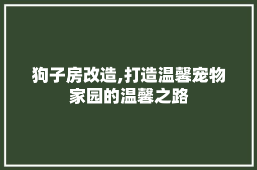 狗子房改造,打造温馨宠物家园的温馨之路
