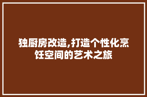 独厨房改造,打造个性化烹饪空间的艺术之旅
