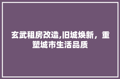 玄武租房改造,旧城焕新，重塑城市生活品质