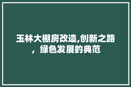 玉林大棚房改造,创新之路，绿色发展的典范