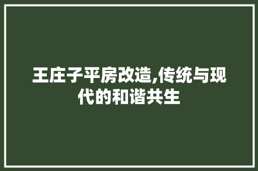 王庄子平房改造,传统与现代的和谐共生