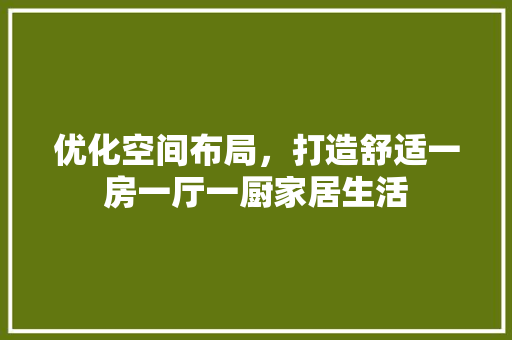 优化空间布局，打造舒适一房一厅一厨家居生活