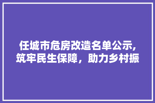 任城市危房改造名单公示,筑牢民生保障，助力乡村振兴