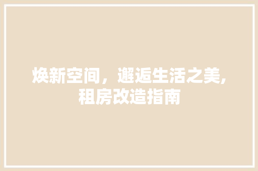 焕新空间，邂逅生活之美,租房改造指南