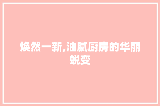 焕然一新,油腻厨房的华丽蜕变 景观设计