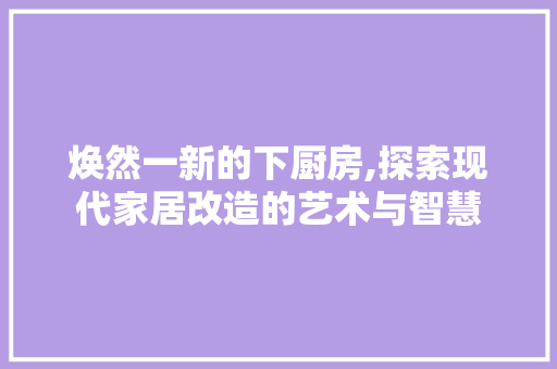 焕然一新的下厨房,探索现代家居改造的艺术与智慧