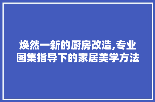 焕然一新的厨房改造,专业图集指导下的家居美学方法