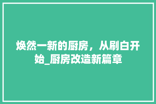 焕然一新的厨房,从刷白开始_厨房改造新篇章 地面装修 焕然一新的厨房,从刷白开始_厨房改造新篇章 地面装修
