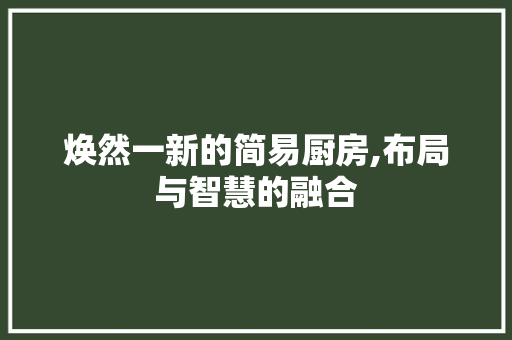 焕然一新的简易厨房,布局与智慧的融合
