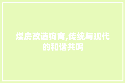 煤房改造狗窝,传统与现代的和谐共鸣