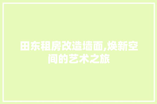田东租房改造墙面,焕新空间的艺术之旅