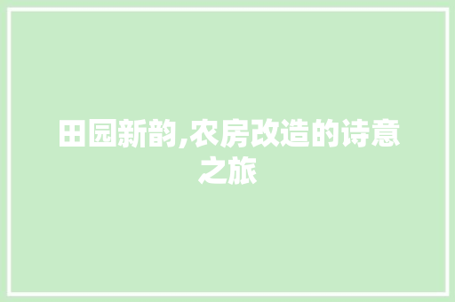 田园新韵,农房改造的诗意之旅