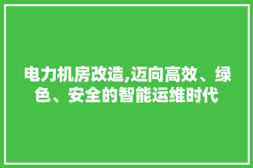 电力机房改造,迈向高效、绿色、安全的智能运维时代