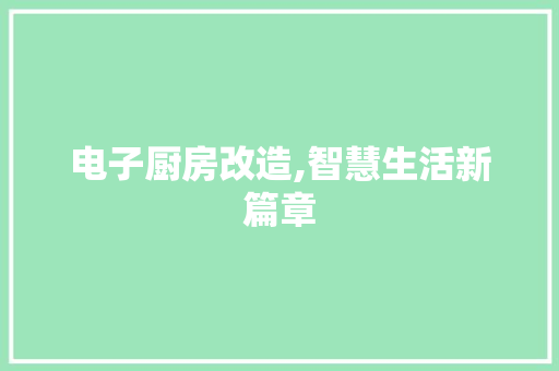 电子厨房改造,智慧生活新篇章
