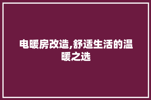 电暖房改造,舒适生活的温暖之选
