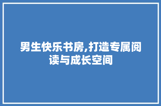 男生快乐书房,打造专属阅读与成长空间