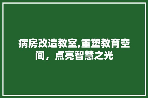 病房改造教室,重塑教育空间，点亮智慧之光