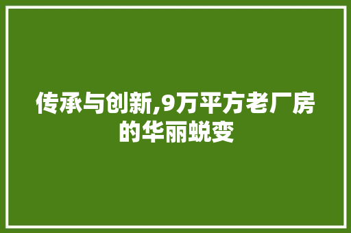 传承与创新,9万平方老厂房的华丽蜕变