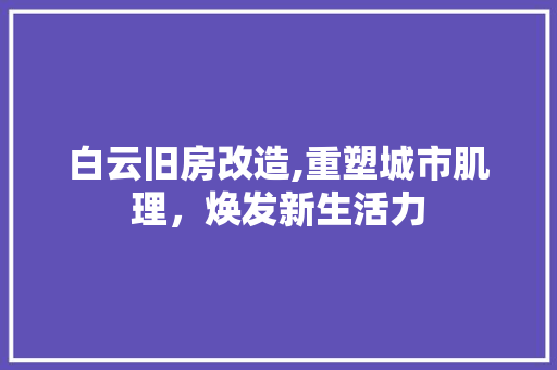 白云旧房改造,重塑城市肌理，焕发新生活力