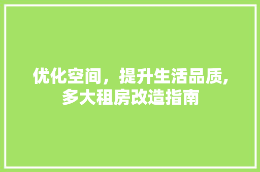 优化空间，提升生活品质,多大租房改造指南