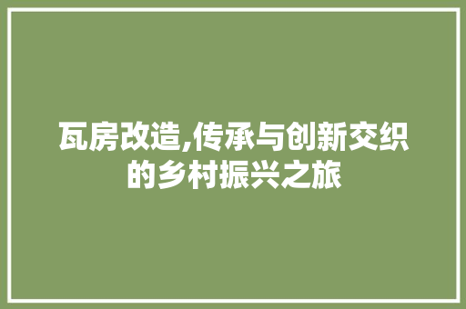 瓦房改造,传承与创新交织的乡村振兴之旅