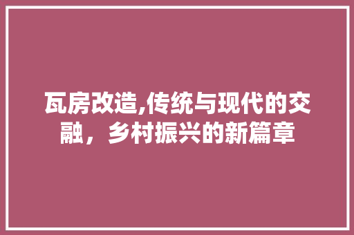 瓦房改造,传统与现代的交融，乡村振兴的新篇章