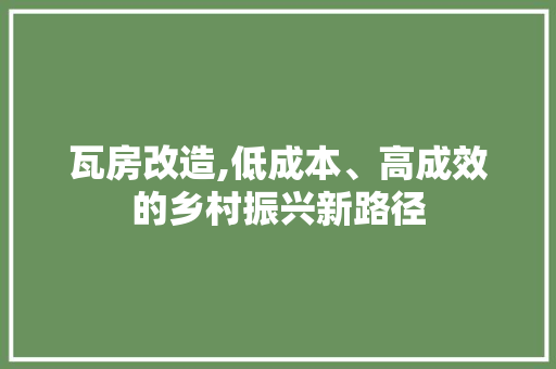 瓦房改造,低成本、高成效的乡村振兴新路径