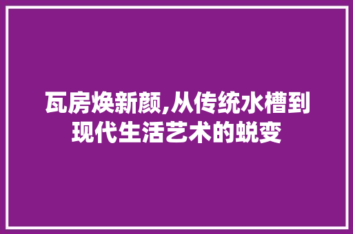瓦房焕新颜,从传统水槽到现代生活艺术的蜕变