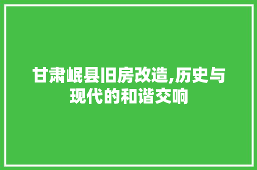 甘肃岷县旧房改造,历史与现代的和谐交响