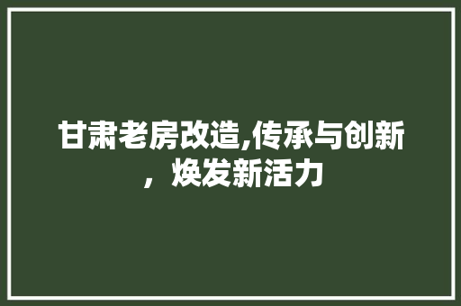 甘肃老房改造,传承与创新，焕发新活力